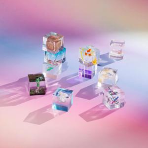 欧美A片视频在线观着
