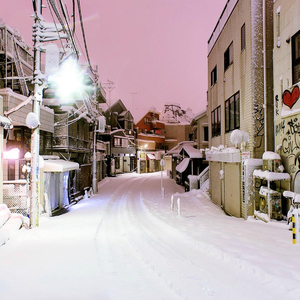 欧美A片视频在线观着
