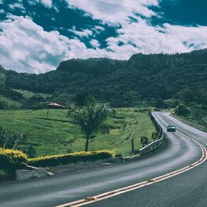 欧美A片视频在线观着
