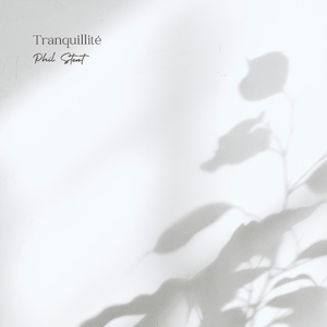 欧美A片视频在线观着
